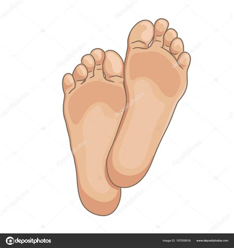 Female Male Foot Soles Barefoot Bottom View Vector Illustration Hand