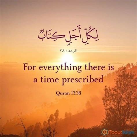 Quran Quotes About Peace Shortquotescc