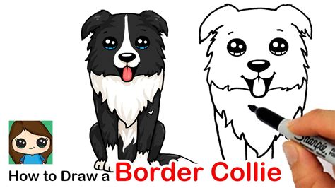 How To Draw A Border Collie Puppy Dog Easy Youtube