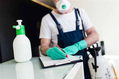 6 Things to Expect From a Pest Control Service Visit
