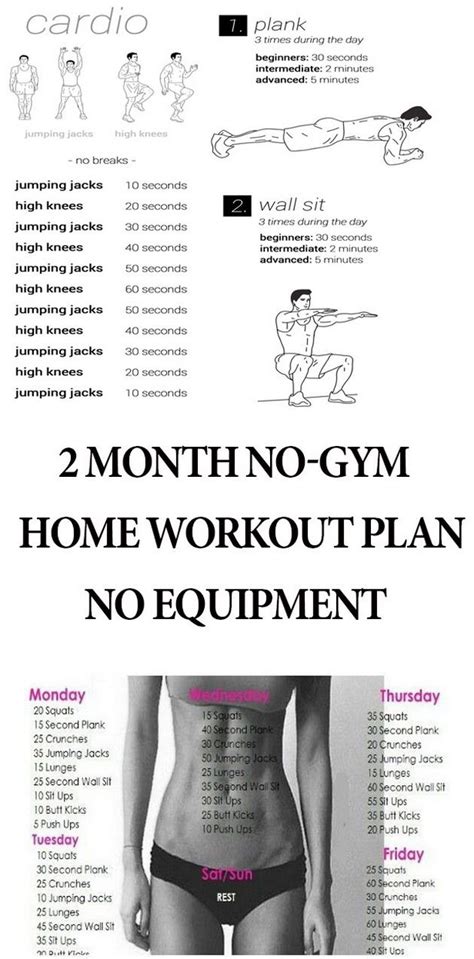 As you can see, this workout ends each week with a tough routine, but that's okay because you get the weekend to rest and recuperate! 2 Month No-Gym Home Workout Plan - No Equipment | At home ...