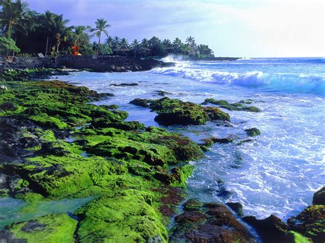 Big Island Hawaii United States Of America World For Travel
