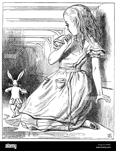 Alice Au Pays Des Merveilles 1865 Nalice Et Le Lapin Blanc