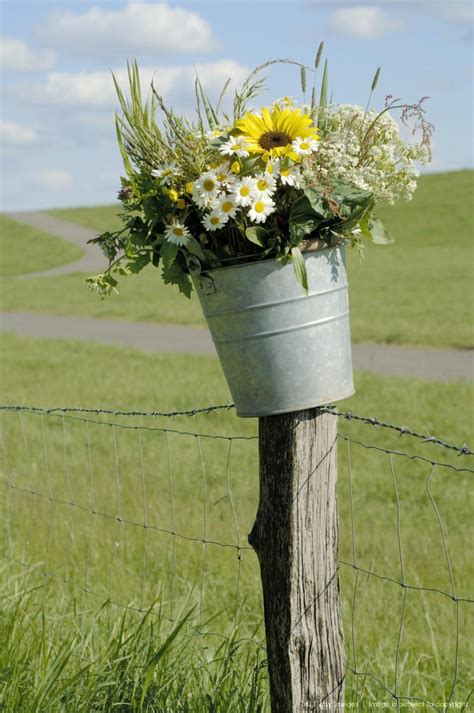 Flowers In Bucket On Pasture Fence Amazing Photos On