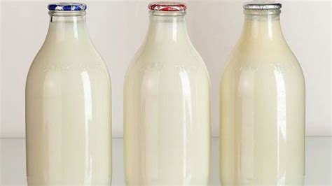 Milk Bottle Packaging Ideas 20 Creative Diy Ideas To Recycle Beer