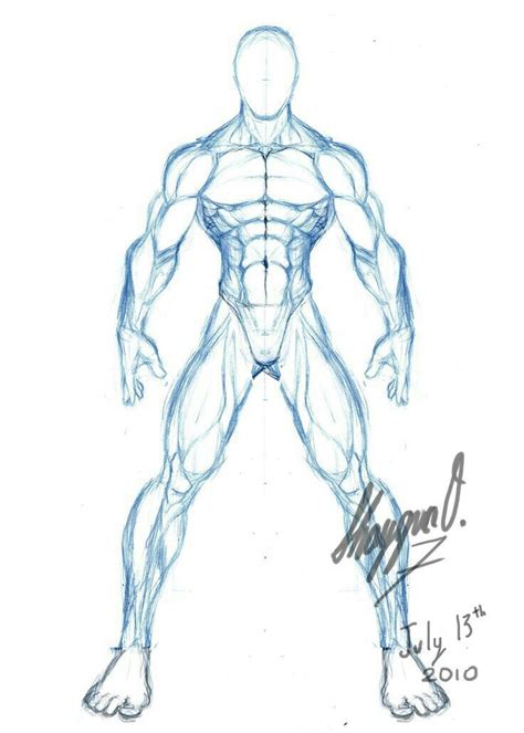 Muscle Drawing Back Side Anatomia Do Corpo Humano Cor Vrogue Co