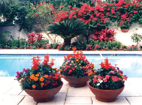 Container Gardens Palm Beach Landscape Designer Pamela Crawford