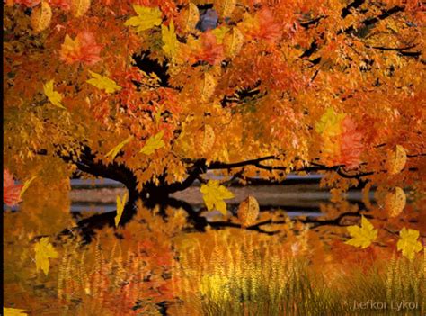 Waterfalls Falling  And Autumn Leaves On Pinterest