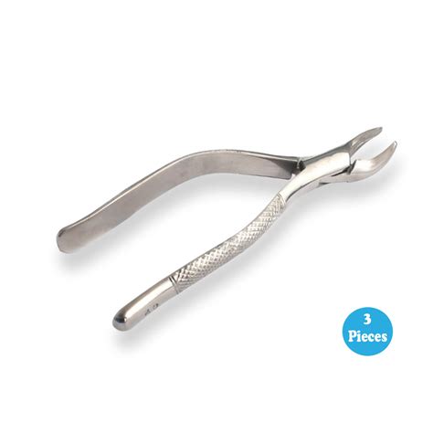 3 Extracting Forceps Dental Surgical 62 Surgical Mart