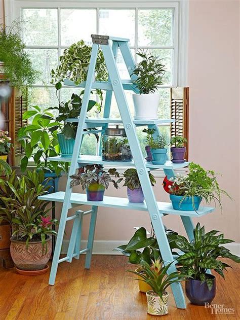 20 unique ways to use ladders to display houseplants decorate with ladder ideas