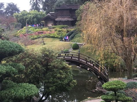 Huntington Library And Gardens In Pasadena - What A Girl Eats
