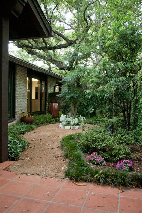 (packets only) one packet averages 400 seeds. Native Edge Landscape: Portfolio - Private Courtyard ...