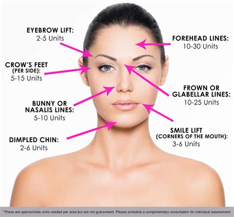 Template Botox Face Chart