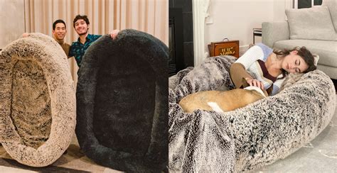 Two Nap Loving Ubc Students Designed A Human Sized Dog Bed Photos