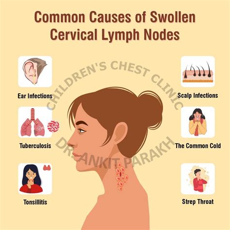 What Are The Common Causes Of Enlarged Cervical Lymph Nodes In Children