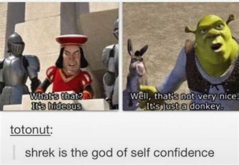 Shrek Is The God Of Self Confidence Shrek Know Your Meme