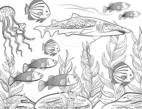 ️realistic Underwater Coloring Pages Free Download