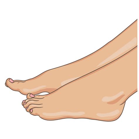 Female Legs Barefoot Side View Vector Illustration Hand Drawn