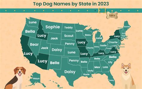 The Most Popular Dog Name In Every Us State Has Been Revealed