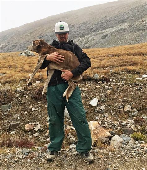 Dog Stuck On Colorado Mountain For A Month Rescued