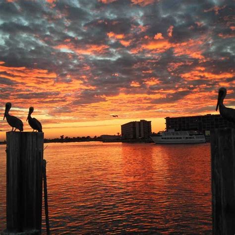 12 Aweseome Places To Watch The Sunset Tampa Bay Real Estate