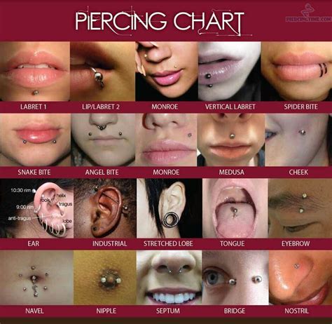 Septum Piercings Tragus Tongue Piercing Jewelry Ear Peircings