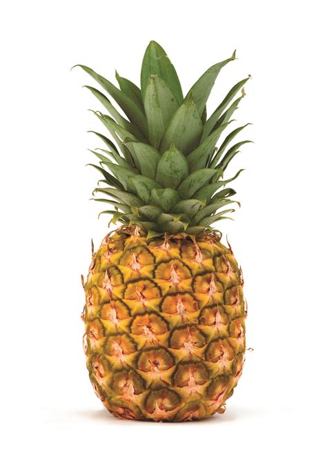 Kombucha Restaurant Blog Pineapple Phone Case Funny Fruit Gel