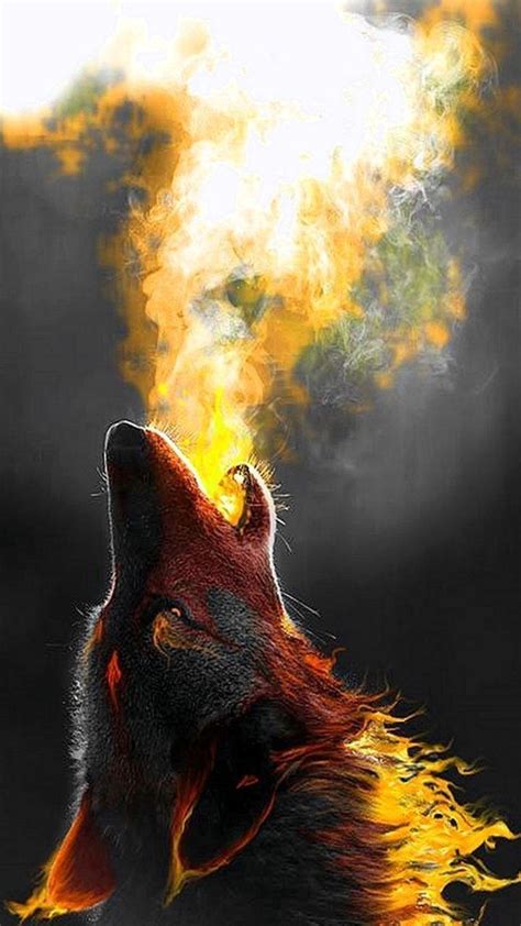 Rainbow Fire Wolf Wallpapers Wallpaper Cave
