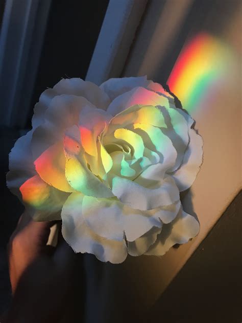 Pin By Joyceee On Photography Rainbow Aesthetic Flower Aesthetic
