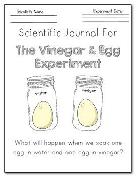 This lab, you will observe the effects of osmosis on cells. Egg Osmosis Lab Pdf / Egg Osmosis Lab Report Abstract + My ...