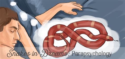 The Meaning Of A Dream With Snakes Exemplore