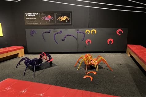 Review Of Queensland Museums Spiders The Exhibition Brisbane Kids
