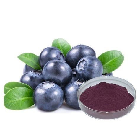Vital Herbs Blueberry Extract Pack Size 1 Kg Rs 800kilogram Vital