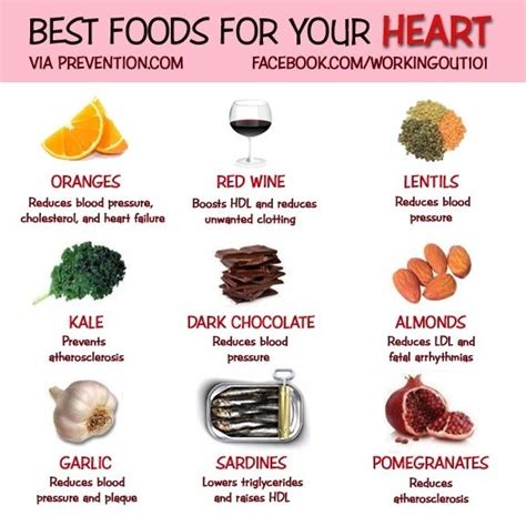 Foods Good For Heart Blockage Pharmakon Dergi