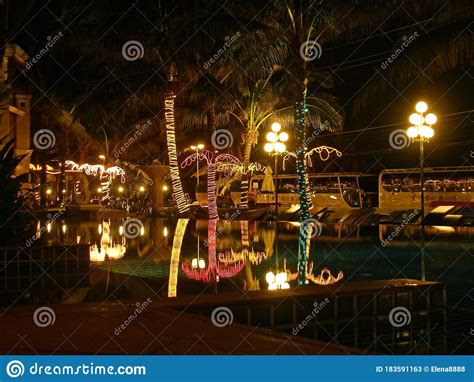 Night View Of Palm Trees In Sparkling Garlands Reflected Lights In The