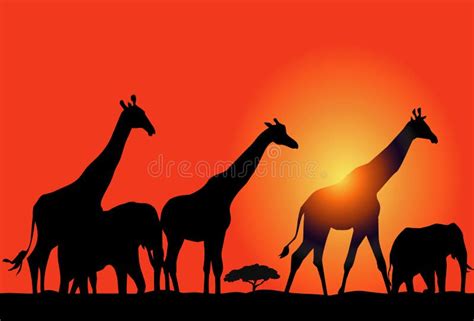 Sunset And African Safari Stock Vector Illustration Of Orange Black