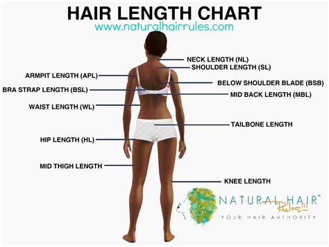 Mcsara hair length chart are from 6 inches hair to 32 inches hair, which is from 15 cm to 80 cm correlatively. Natural Hair Problems My Hair Never Falls Pass My ...