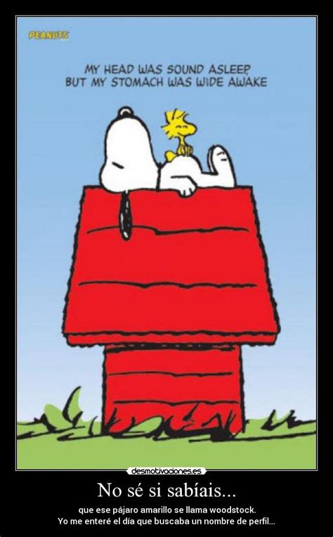 Como Se Llama El Amigo De Snoopy - Imágenes y Carteles de SNOOPY Pag. 6 | Desmotivaciones