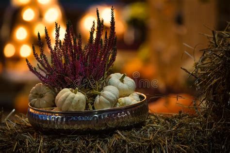 Pumpkins And Heather Flower Setting On A Stack Of Hay With Bokeh Lights