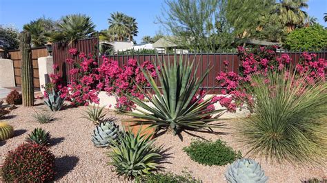 Weighing The Benefits And Problems With Xeriscaping Gardening Know How