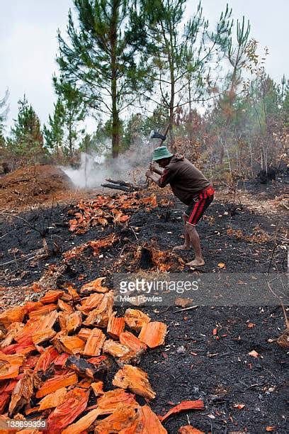 Deforestation Madagascar Photos And Premium High Res Pictures Getty