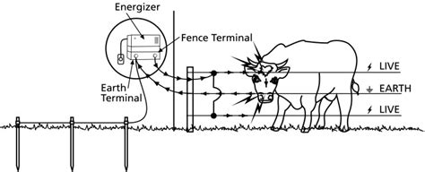 It can also be electrified to ensure animal safety. Building Your Electric Fence - Grange Co-op