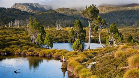 Mountain Tarns Ringed With Pencil Pines On Cradle Mountain Lake St