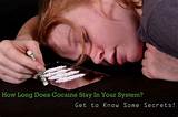 How Long Does Marijuana Stay In The Body System