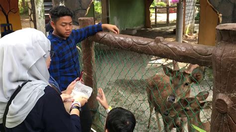 11,894 likes · 45 talking about this · 1,611 were here. Zoo melaka - YouTube