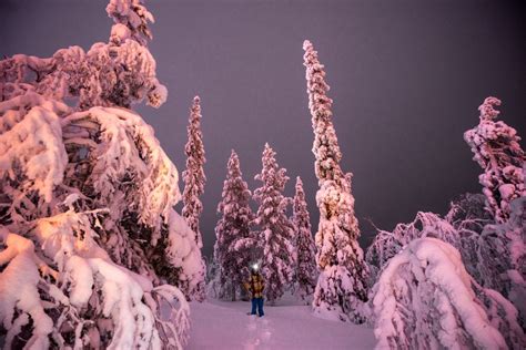 13 Awesome Reasons To Visit Finnish Lapland Lapland See The Northern