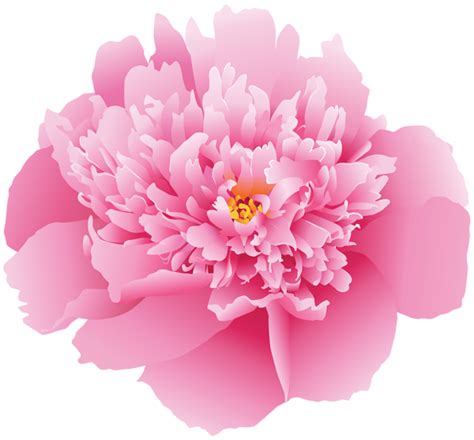 Pink Peony Flower Png Clip Art Image Flowers Pink Peonies Peony Flower