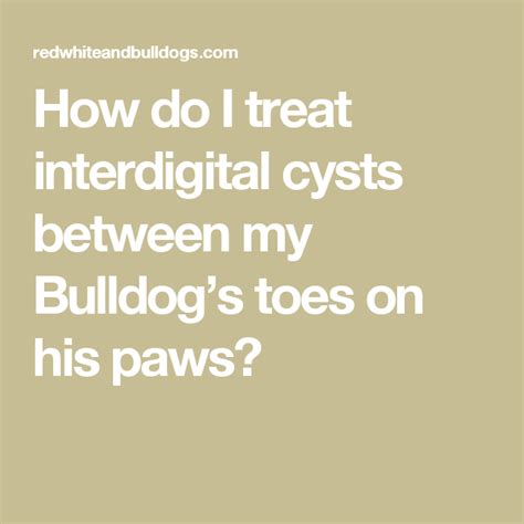 Interdigital Cyst Dog Home Treatment Hobi Akuarium