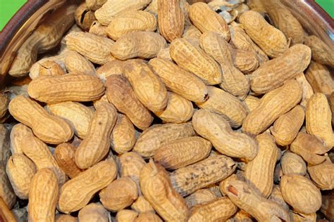 Peanuts Free Stock Photo Public Domain Pictures