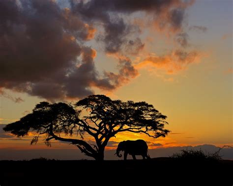 Safari Sunset Kenya By Tony Beck 500px Sunset African Sunset